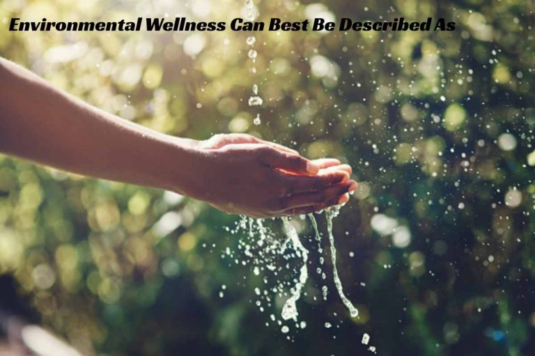 Environmental Wellness Can Best Be Described As