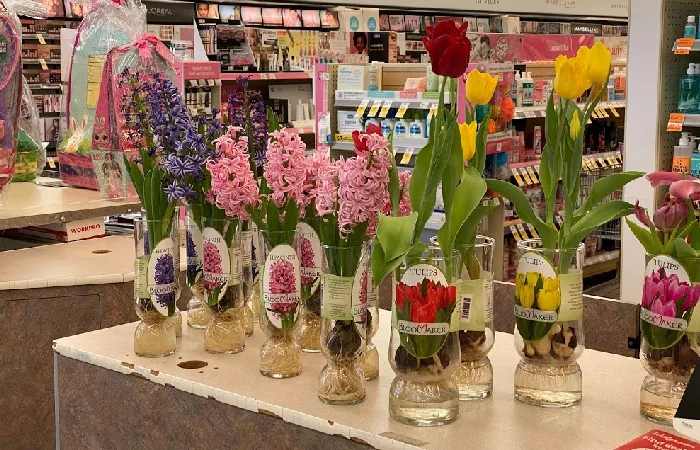 Does Walgreens Sell Flowers?