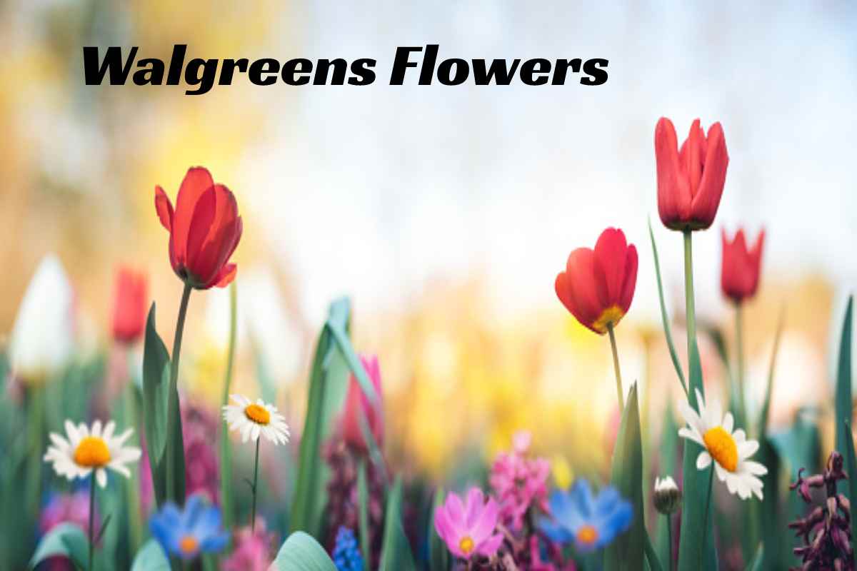 Walgreens Flowers Smart Health Web 2022