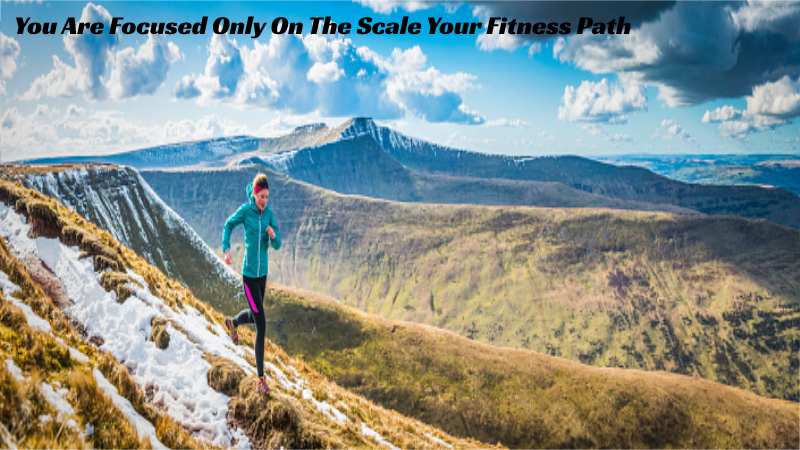 Your Fitness Path (2)