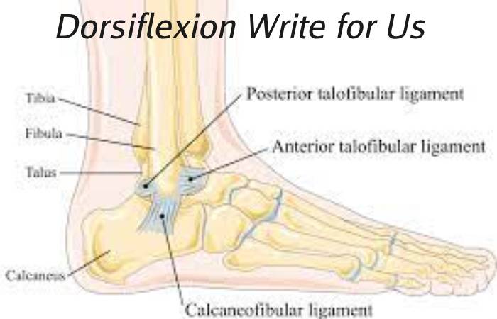 Dorsiflexion Write for Us