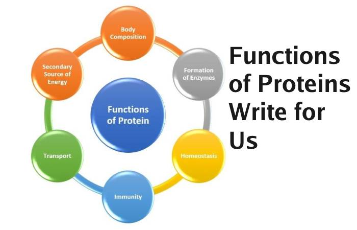 Functions of Proteins Write for Us