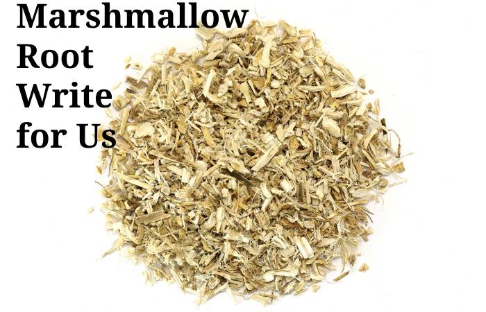 Marshmallow Root Write for Us