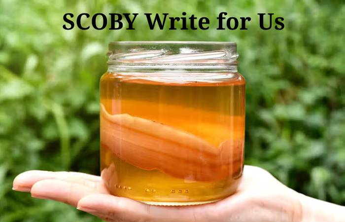 SCOBY Write for Us