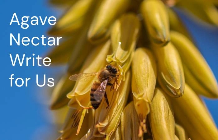 Agave Nectar Write for Us
