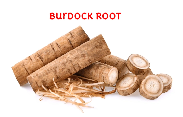 Burdock Root