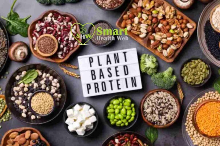 Plant-Based Protein Sources Digestion
