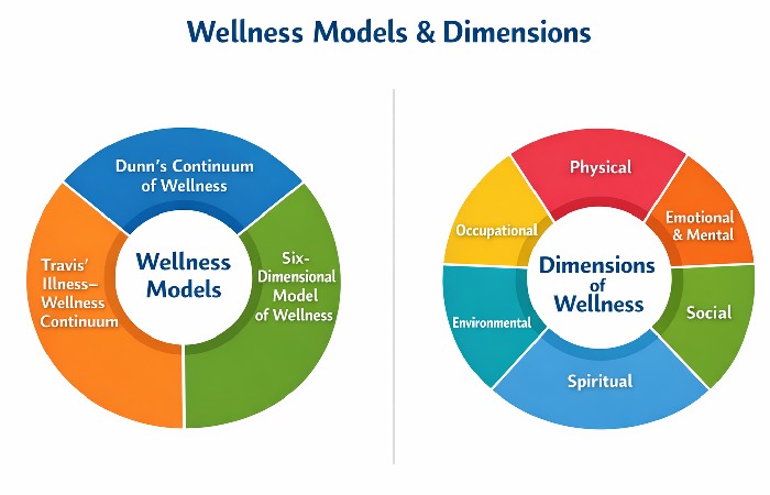 what wellness means 